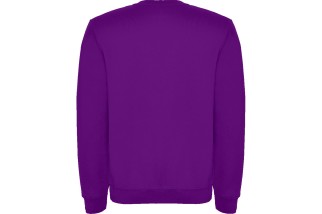 SUDADERA CLASICA Morado Foto