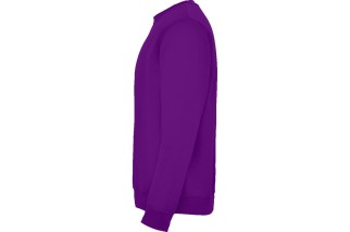 SUDADERA CLASICA Morado Foto