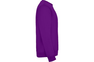 SUDADERA CLASICA Morado Foto