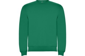 SUDADERA CLASICA Verde Kelly Foto