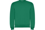 SUDADERA CLASICA Verde Kelly Foto
