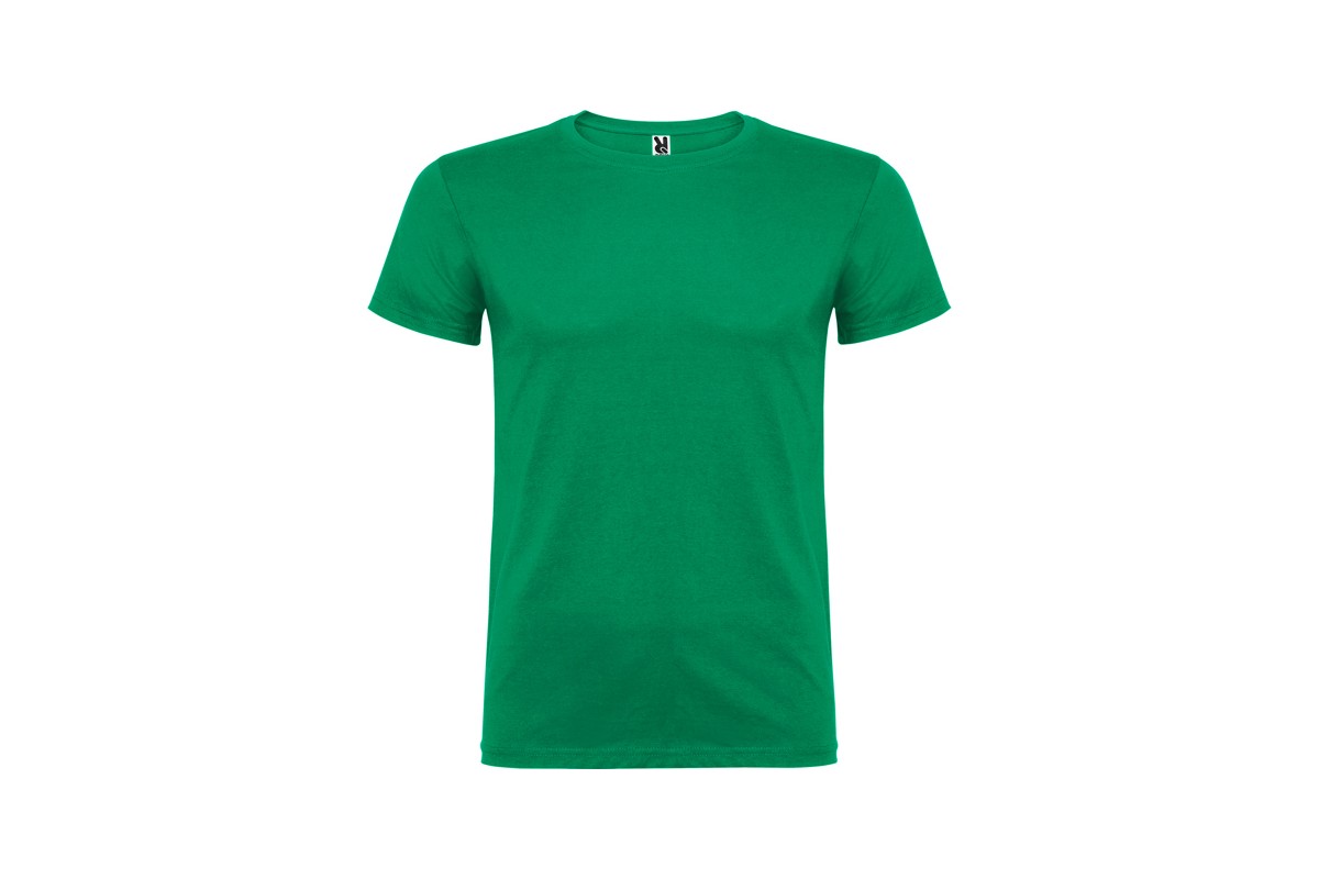 CAMISETA BÁSICA MANGA CORTA BEAGLE Verde Kelly Foto