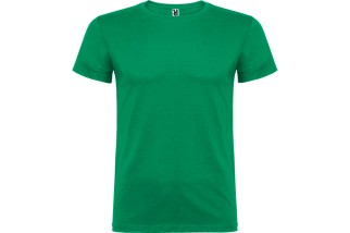 CAMISETA BÁSICA MANGA CORTA BEAGLE Verde Kelly Foto
