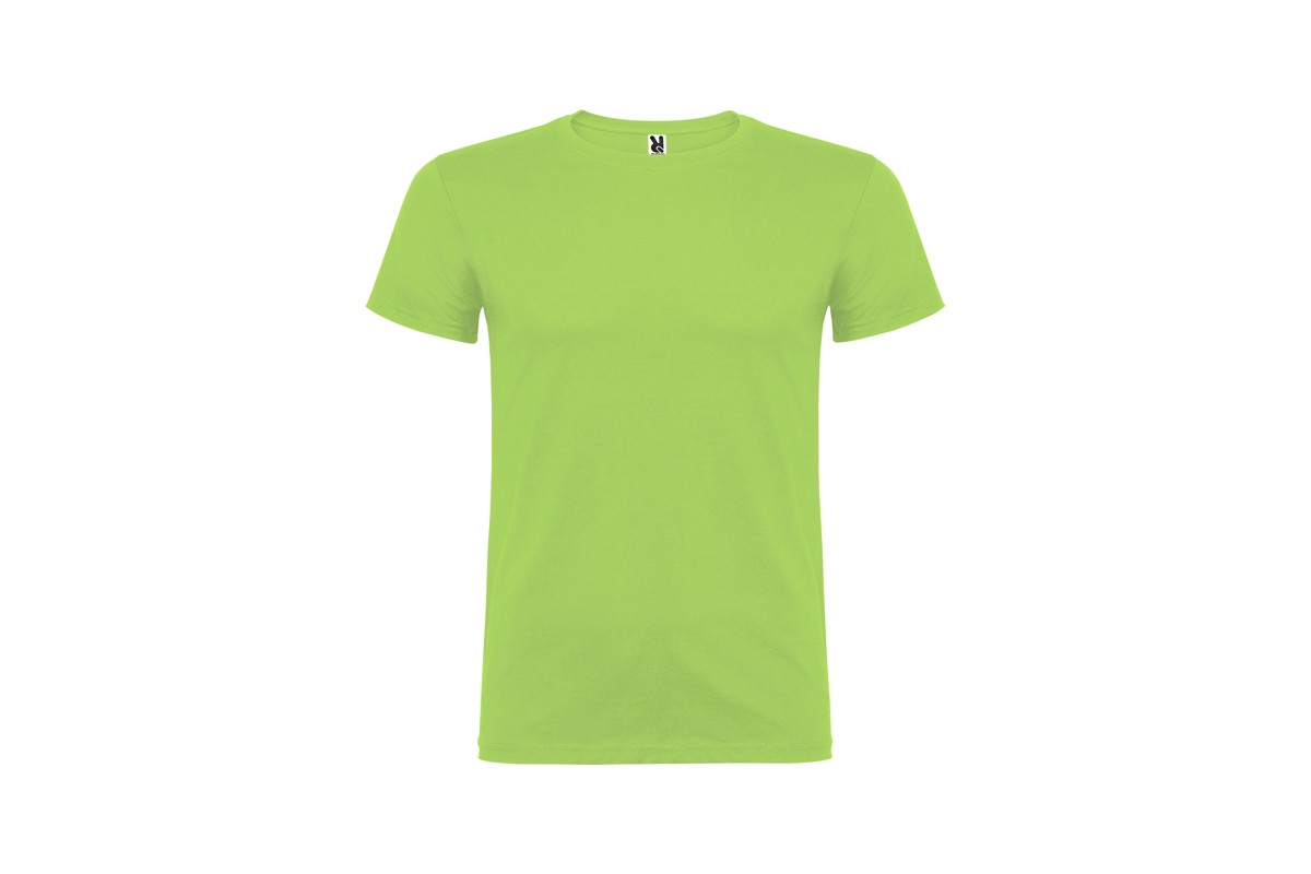 CAMISETA BÁSICA MANGA CORTA BEAGLE Verde manzana Foto