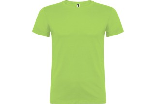 CAMISETA BÁSICA MANGA CORTA BEAGLE Verde manzana Foto